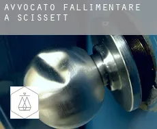 Avvocato fallimentare a  Scissett