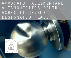 Avvocato fallimentare a  Tanquecitos South Acres II