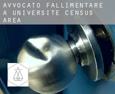 Avvocato fallimentare a  Université (census area)