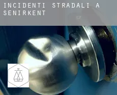Incidenti stradali a  Senirkent