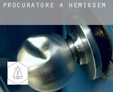 Procuratore a  Hemiksem