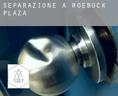 Separazione a  Roebuck Plaza
