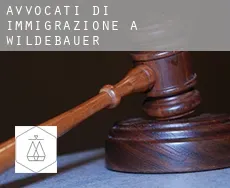 Avvocati di immigrazione a  Wildebauer
