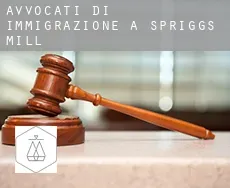 Avvocati di immigrazione a  Spriggs Mill