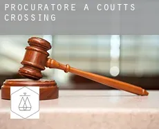 Procuratore a  Coutts Crossing