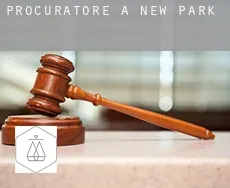 Procuratore a New Park