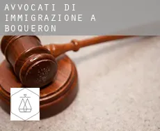 Avvocati di immigrazione a  Boqueron
