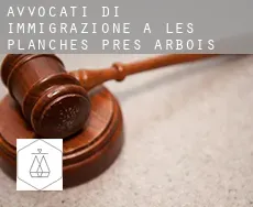 Avvocati di immigrazione a  Les Planches-près-Arbois