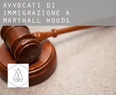 Avvocati di immigrazione a  Marshall Woods