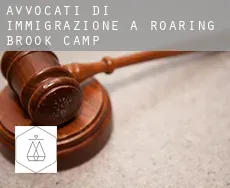 Avvocati di immigrazione a  Roaring Brook Camp