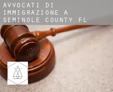 Avvocati di immigrazione a  Seminole County