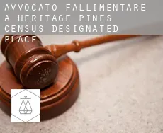 Avvocato fallimentare a Heritage Pines