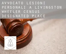 Avvocato lesioni personali a Livingston Wheeler