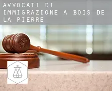Avvocati di immigrazione a  Bois-de-la-Pierre