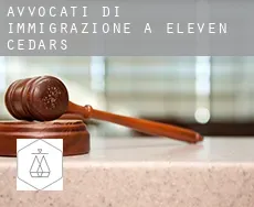 Avvocati di immigrazione a  Eleven Cedars