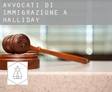 Avvocati di immigrazione a  Halliday