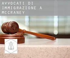 Avvocati di immigrazione a  McCraney