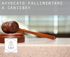 Avvocato fallimentare a Canisbay