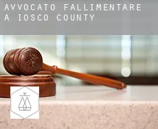 Avvocato fallimentare a  Iosco County