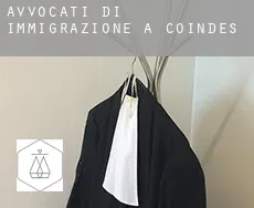 Avvocati di immigrazione a  Coindes