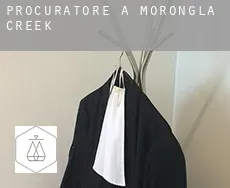 Procuratore a  Morongla Creek