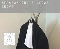 Separazione a  Cedar Grove
