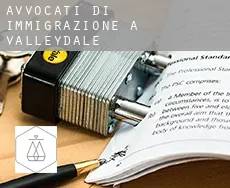 Avvocati di immigrazione a  Valleydale
