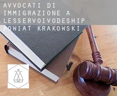 Avvocati di immigrazione a Powiat krakowski (Lesser Poland Voivodeship)