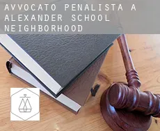 Avvocato penalista a  Alexander School Neighborhood