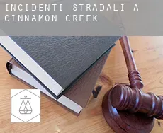 Incidenti stradali a  Cinnamon Creek