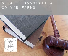 Sfratti avvocati a  Colvin Farms