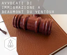 Avvocati di immigrazione a  Beaumont-du-Ventoux