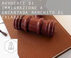Avvocati di immigrazione a  Encantada-Ranchito-El Calaboz