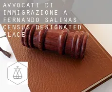 Avvocati di immigrazione a  Fernando Salinas