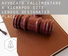 Avvocato fallimentare a  Kickapoo Site 7