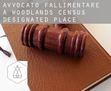 Avvocato fallimentare a  Woodlands