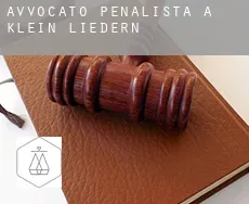 Avvocato penalista a  Klein Liedern