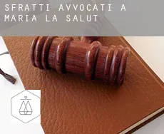 Sfratti avvocati a  Maria de la Salut