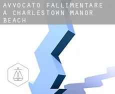 Avvocato fallimentare a  Charlestown Manor Beach