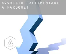 Avvocato fallimentare a  Paroquet