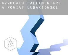 Avvocato fallimentare a Powiat lubartowski
