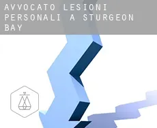 Avvocato lesioni personali a  Sturgeon Bay
