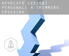 Avvocato lesioni personali a Trimmers Crossing