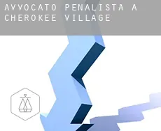 Avvocato penalista a  Cherokee Village