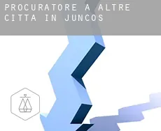 Procuratore a  Altre città in Juncos