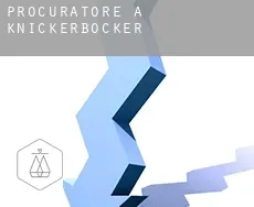 Procuratore a  Knickerbocker