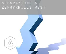 Separazione a  Zephyrhills West