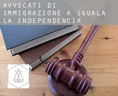 Avvocati di immigrazione a  Iguala de la Independencia