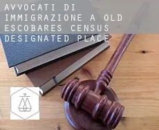 Avvocati di immigrazione a  Old Escobares