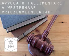 Avvocato fallimentare a Westerhaar-Vriezenveensewijk
